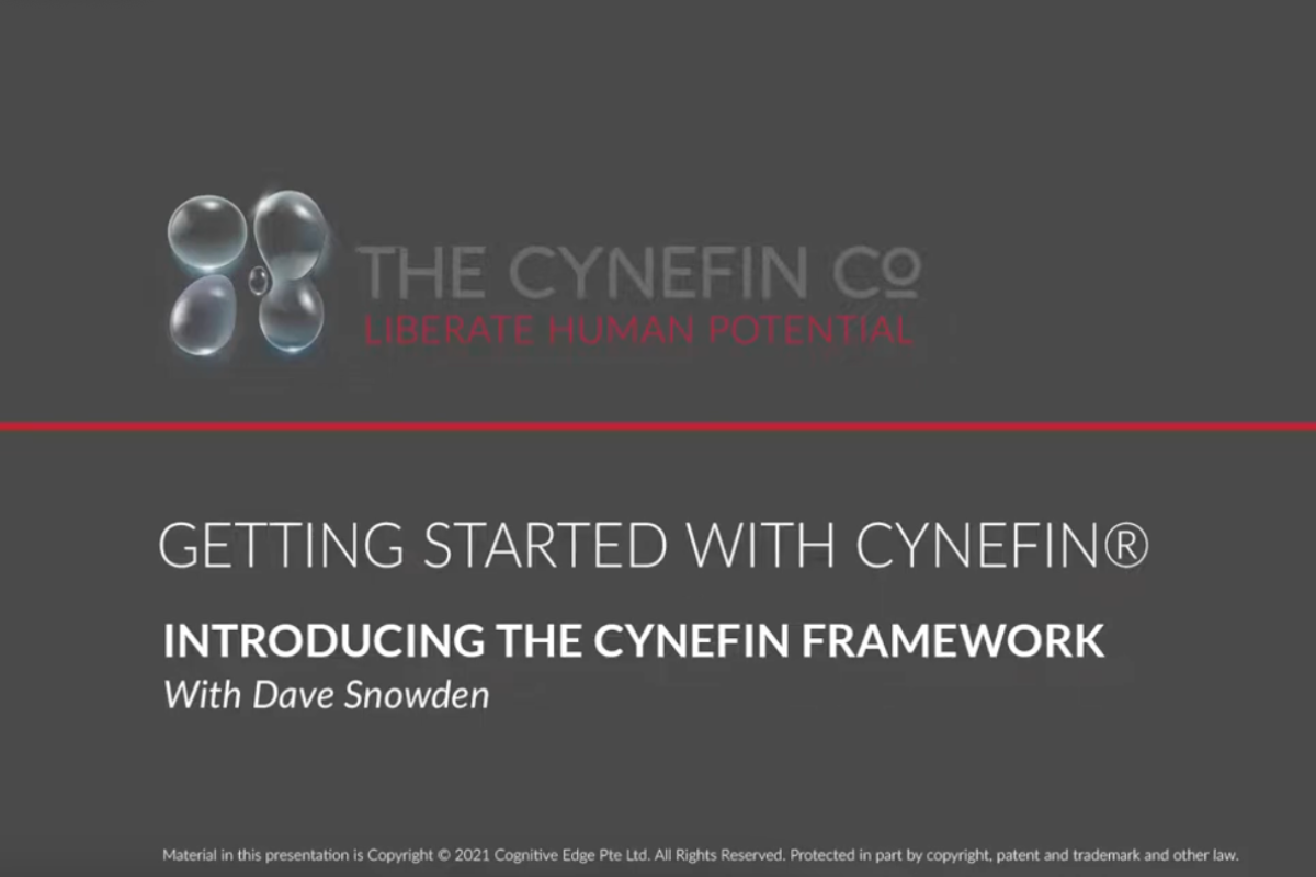 Slide titled 'Getting Started with Cynefin® - Introducing the Cynefin Framework With Dave Snowden,' featuring The Cynefin Co logo and tagline 'Liberate Human Potential' on a dark gray background.